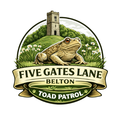 Belton Five Gates Toad Patrol – WP