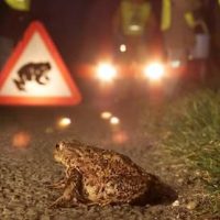 PHOTO-2026-01-13-16-23-32