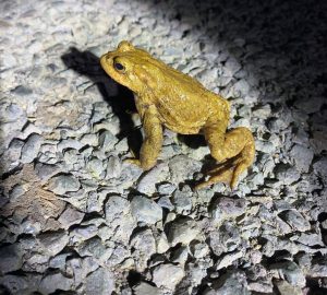 PHOTO-2026-01-13-16-23-32(3)