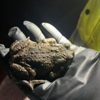 PHOTO-2026-01-13-16-23-38(1)