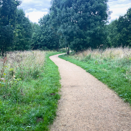 Path Through Londonthorpe Woods Near Five Gates Lane